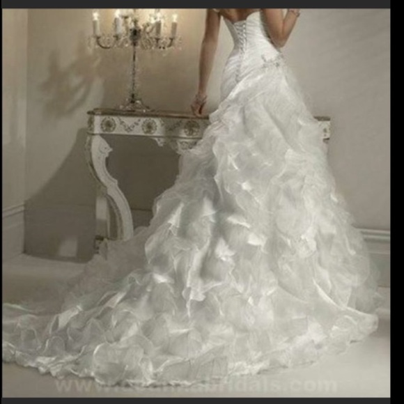 Maggie Sottero Miri Wedding Dress - Picture 3 of 5